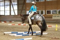 26-ApHC GT_146
